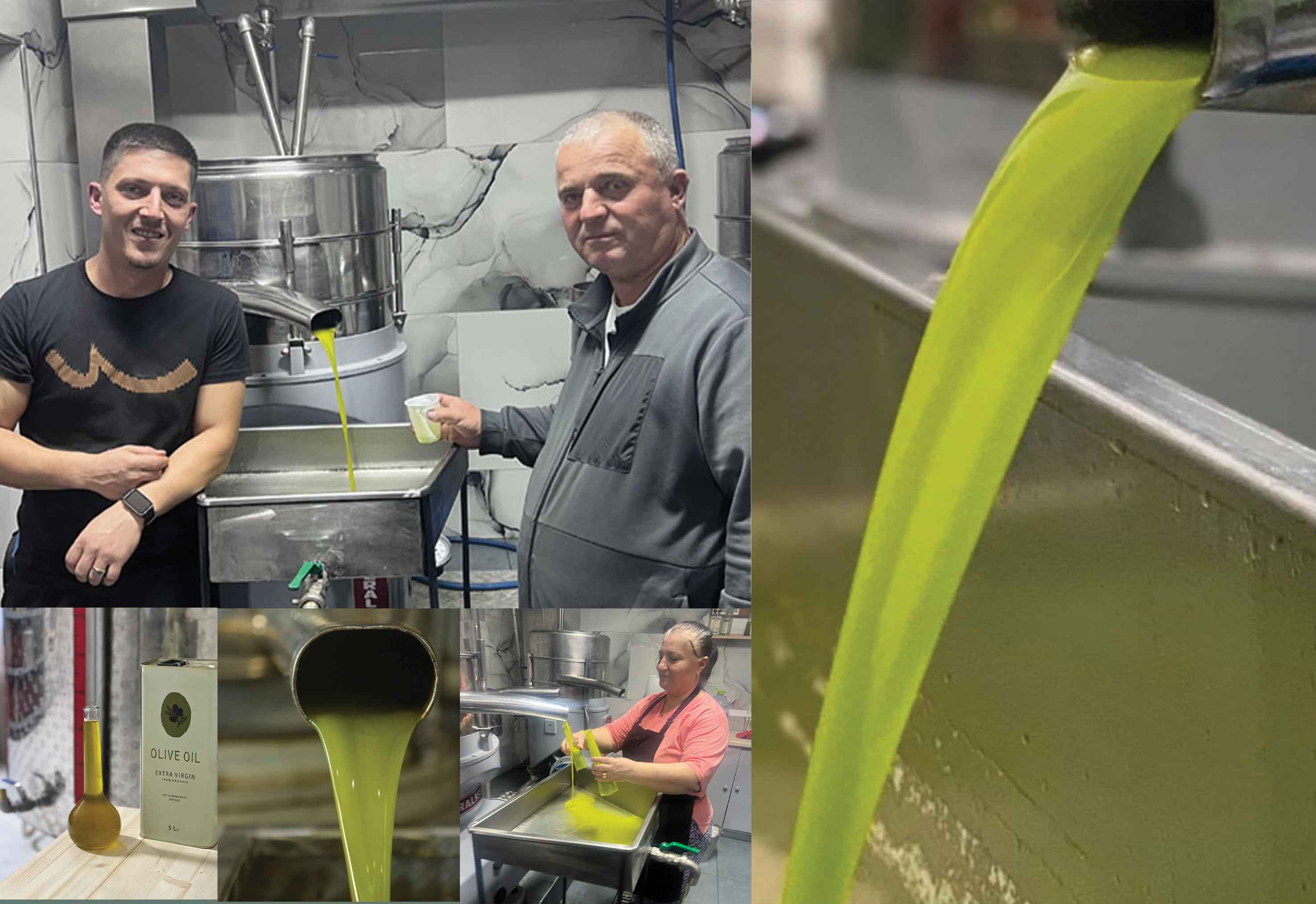 Fabrika e vajit te ullirit Mehmet Sina